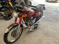 IMG_2454.jpeg