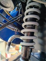 33889.jpg 33889.jpg