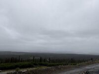 IMG_2530.jpeg IMG_2530.jpeg