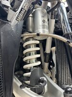 IMG_5008.jpeg