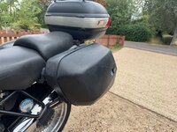 IMG_4870.jpeg