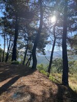 IMG_6956.jpeg IMG_6956.jpeg