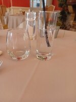 20260805_194135.jpg