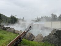 IMG_2553.jpeg