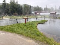 IMG_2554.jpeg