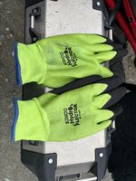 Glove.jpeg