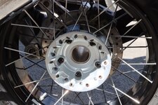 IMG_8392.jpeg
