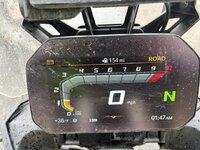 IMG_2597.jpeg