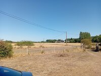 20260806_173301.jpg