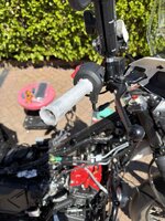 IMG_6135.jpeg