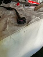 IMG_0964.jpeg