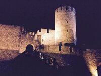 IMG_0665.jpeg IMG_0665.jpeg