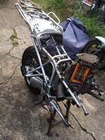 IMG_3945.jpeg IMG_3945.jpeg