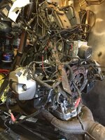 IMG_3943.jpeg IMG_3943.jpeg