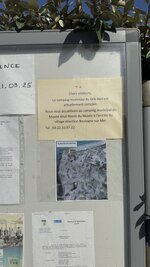 IMG_0977.jpeg