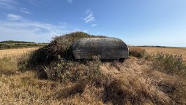 IMG_0955.jpeg