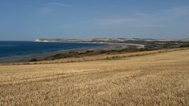 IMG_0956.jpeg