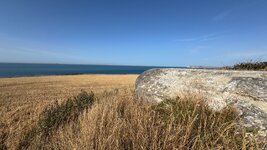 IMG_0954.jpeg