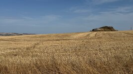 IMG_0952.jpeg