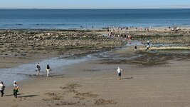 IMG_0960.jpeg