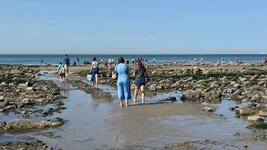 IMG_0965.jpeg