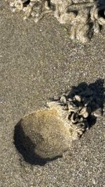 IMG_0967.jpeg