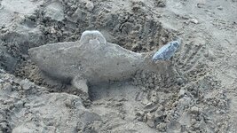 IMG_0968.jpeg
