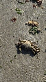 IMG_0973.jpeg