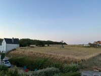 IMG_2155.jpeg