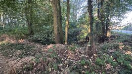 IMG_0990.jpeg