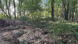 IMG_0991.jpeg