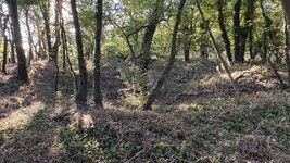 IMG_0992.jpeg