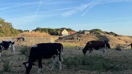 IMG_0994.jpeg