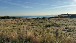 IMG_0996.jpeg