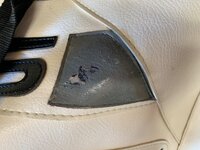 IMG_0777.jpeg IMG_0777.jpeg