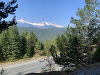 IMG_2564.jpeg IMG_2564.jpeg