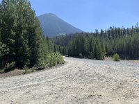 IMG_2595.jpeg IMG_2595.jpeg