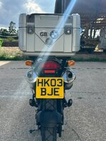 IMG_2935.jpeg