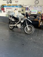 IMG_2929.jpeg