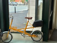 IMG_2383.jpeg