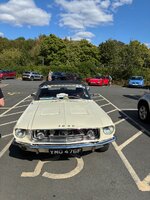 IMG_2395.jpeg