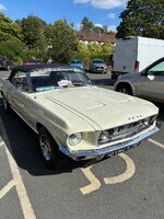 IMG_2396.jpeg