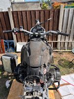 IMG_6452.JPG