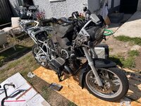 IMG_6487.JPG