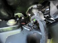 IMG_2989.jpeg