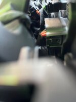 IMG_2979.jpeg