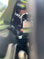 IMG_2982.jpeg