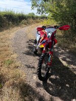 IMG_7951.jpeg