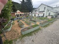 IMG_2734.jpeg IMG_2734.jpeg