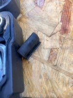 IMG_6535.jpeg IMG_6535.jpeg